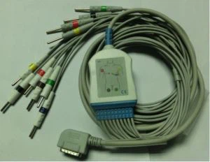Kanz PC-108/109 10lead cable ECG amb cables conductors, IEC, plàtan de la fàbrica