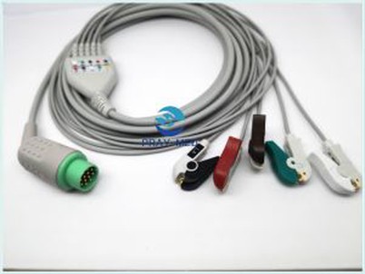 Cable 12pin Biolight M9500 ECG de 5 pesos amb passador