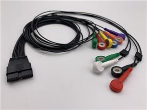 Schiller ECG Cable de 10 ploms Snap