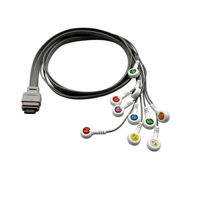 Nihon Kohden Recorder Holter Cable ECG de 10 derivacions